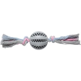Companion dental chewing ball on rope
