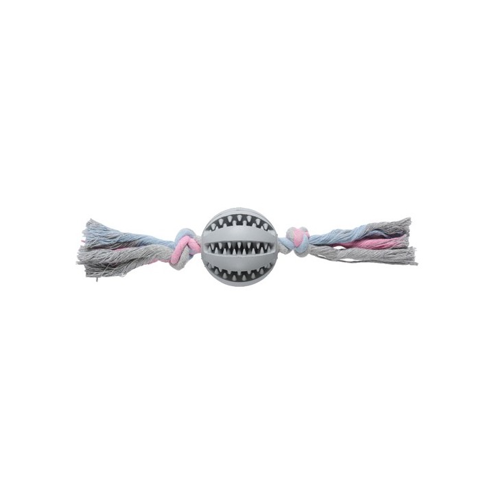 Companion dental chewing ball on rope