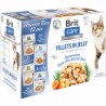 Care Cat Flavour box Fillet in Jelly med 12 brev