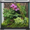 Terrarium 20x20x20cm glas