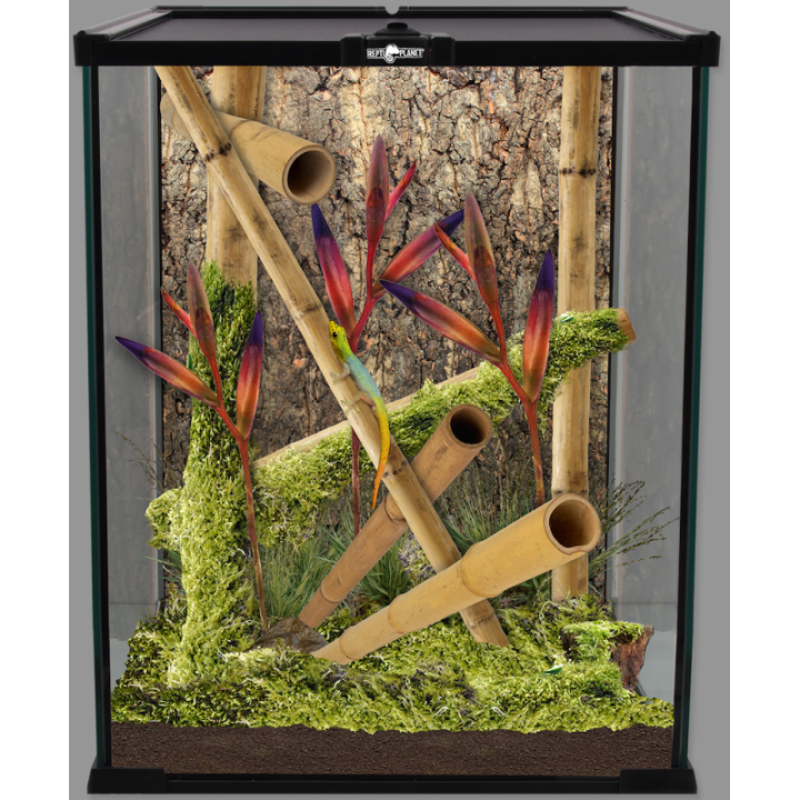 Terrarium 20x20x30cm glas