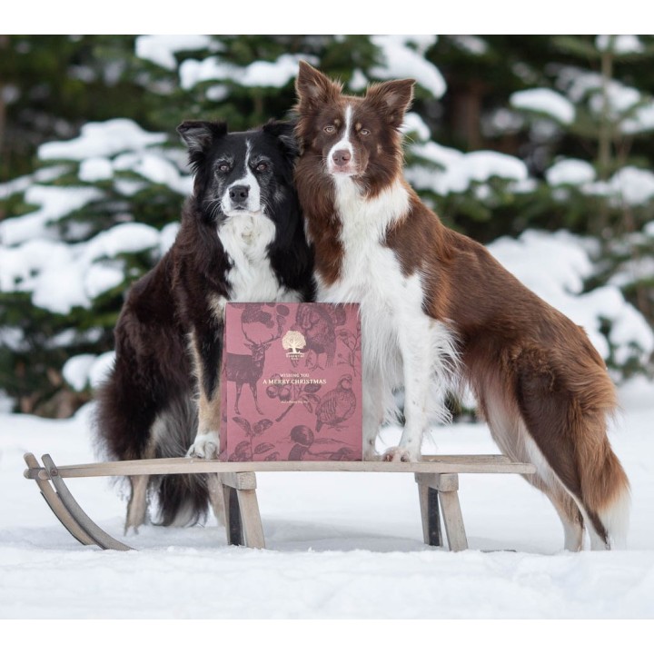 Essential Christmas dog present limited edition