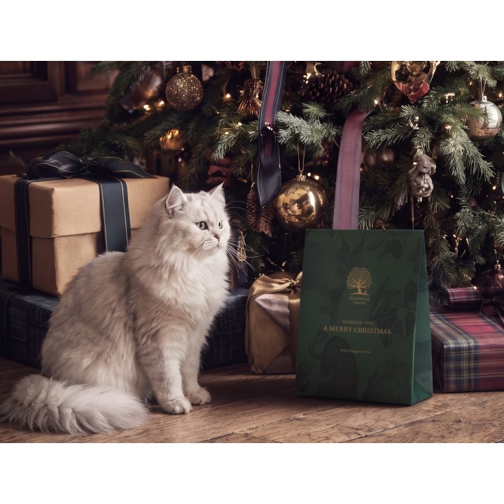 Essential Christmas cat present limited edition