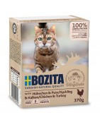 Bozita