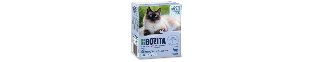 Vådfoder kat