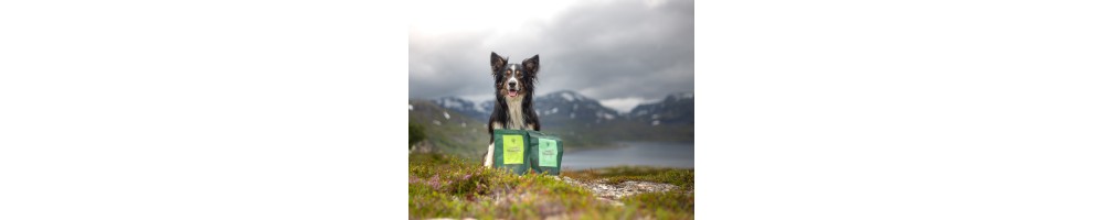 Essential godbidder og tilbehør